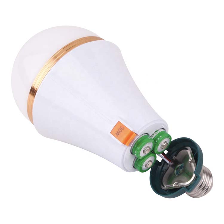 screw-in rechargeable led bulbs